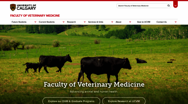 vet.ucalgary.ca