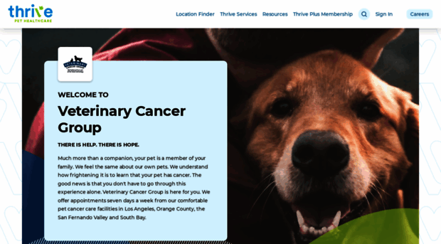 vetcancergroup.com