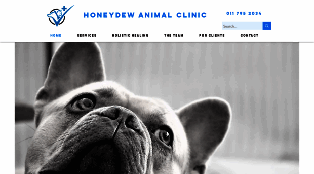 vetcareclinics.co.za