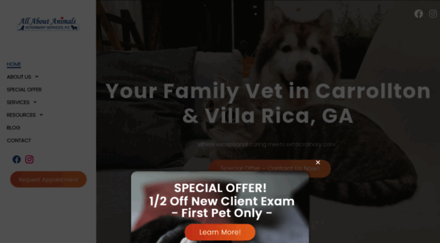 vetcarrollton.com