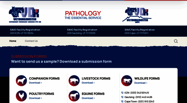 vetdiagnostix.com