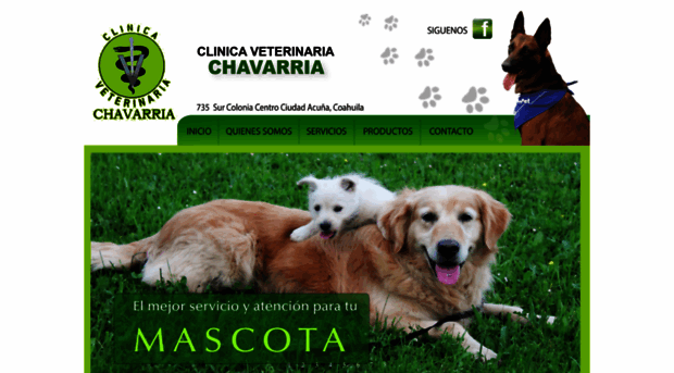 veterinariachavarria.com.mx