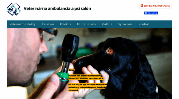 veterinarkosice.sk