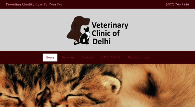 veterinaryclinicofdelhi.com