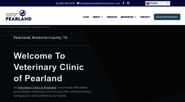 veterinaryclinicofpearland.com