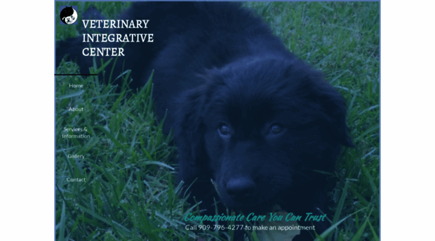 veterinaryintegrativecenter.com