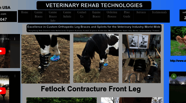 veterinaryrehabtechnologies.com