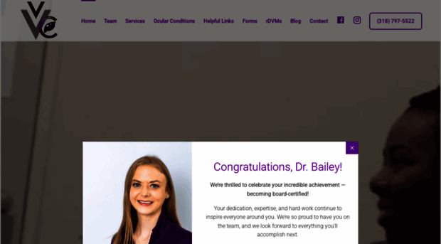 veterinaryvisioncenter.com