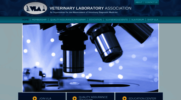 vetlabassoc.com