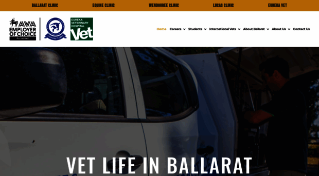 vetlifeinballarat.com.au