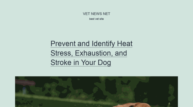 vetnewsnet.com