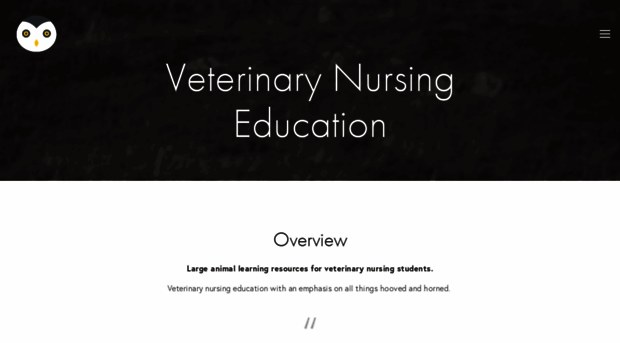 vetnursing.ie