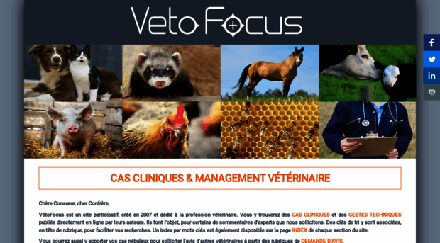 vetofocus.com