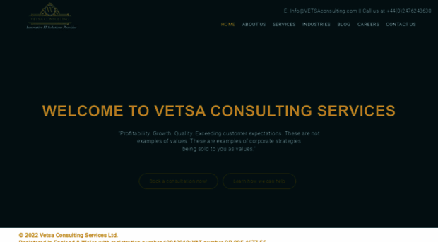 vetsaconsulting.com