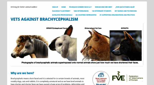 vetsagainstbrachycephalism.com