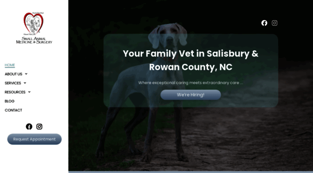 vetsalisbury.com