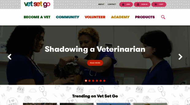 vetsetgo.com