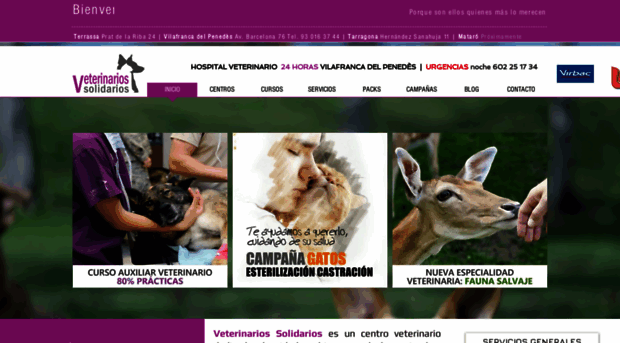 vetsolidari.com