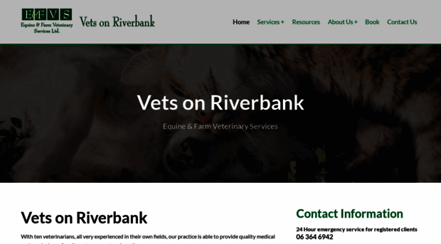 vetsonriverbank.nz