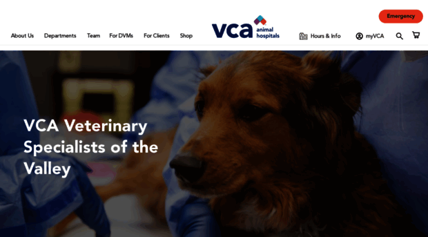 vetspecialistsvalley.com