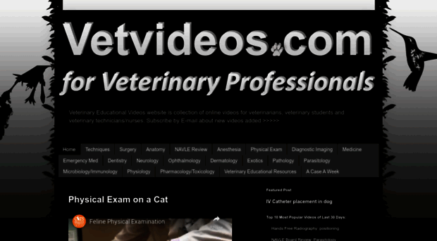 vetvideos.com