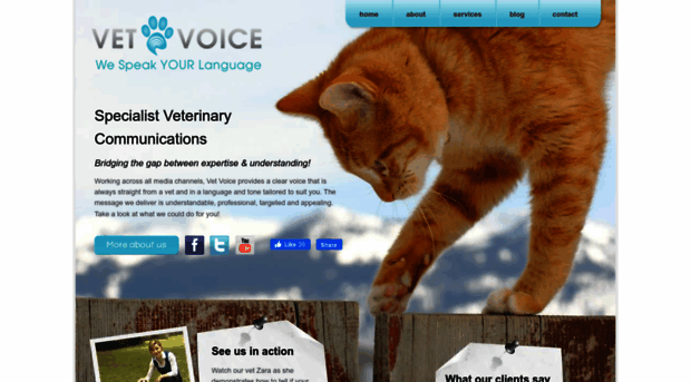 vetvoice.co.uk