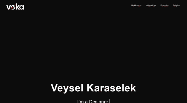 veyselkaraselek.com