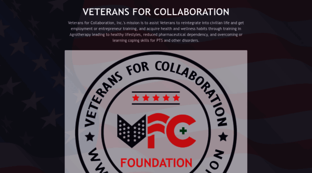 vfc.foundation