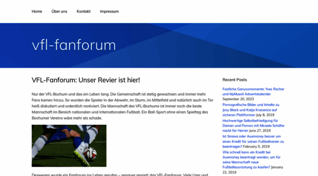 vfl-fanforum.de