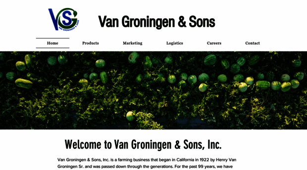 vgandsons.com