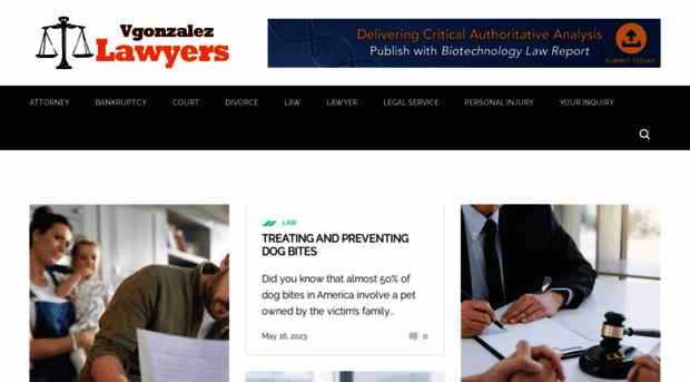 vgonzalezlawyers.com