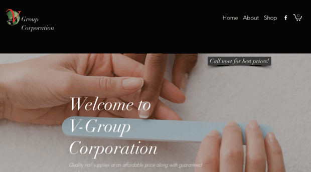 vgroupcorp.com