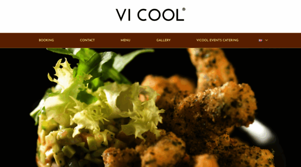 vi-cool.com