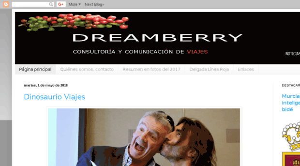 viajesdreamberry.com