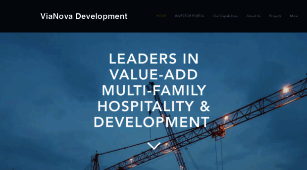 vianovadevelopment.com