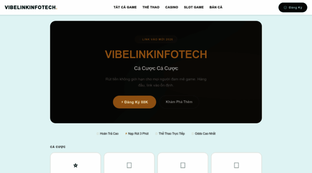 vibelinkinfotech.com