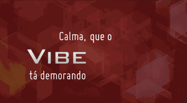 vibelog.com.br