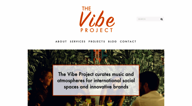 vibeproject.co