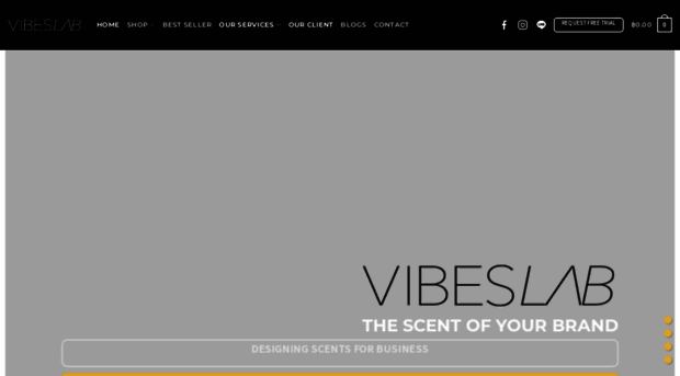 vibeslab.co