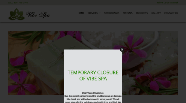 vibespa.ca