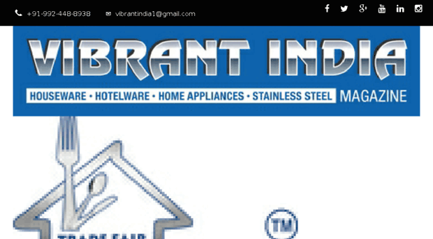 vibrantindiasteel.com