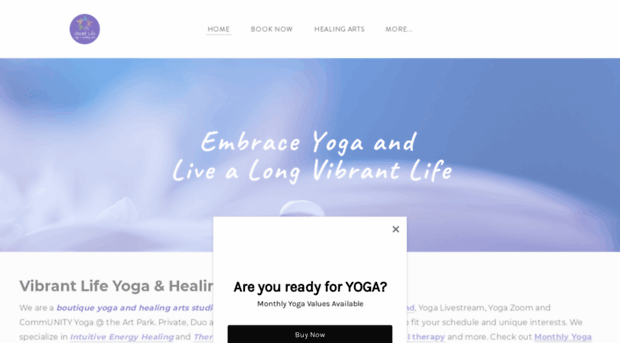 vibrantlifestudio.com