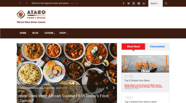 vibrantwestafricancuisine.com