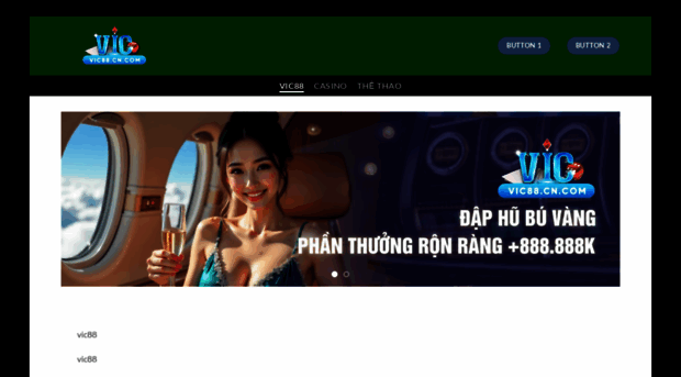 vic88.cn.com