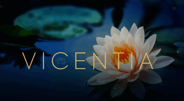 vicentia.co