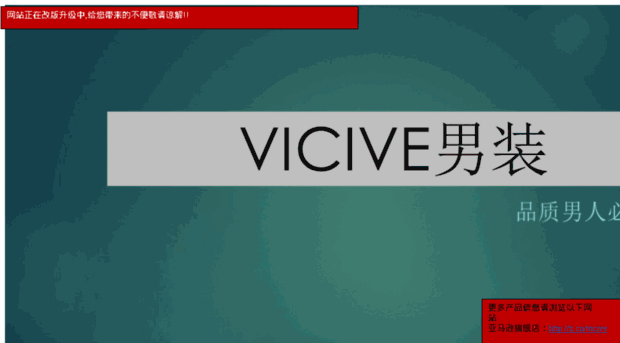 vicive.com