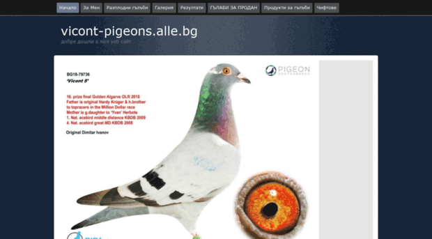 vicont-pigeons.alle.bg