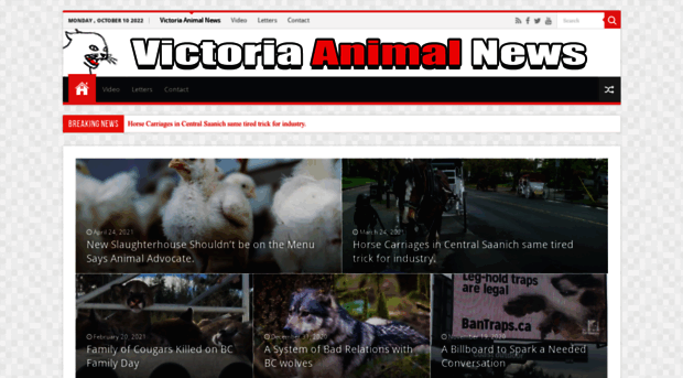 victoriaanimalnews.com