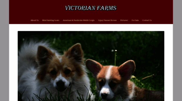 victorianfarmfainters.com