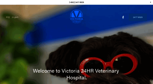 victoriavet.com.hk